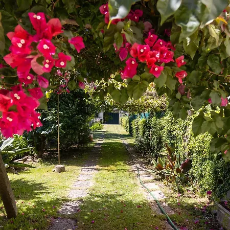 Semesterbostad Casa Heras-estadia Com Hot Tub & Vale 1 Jantar