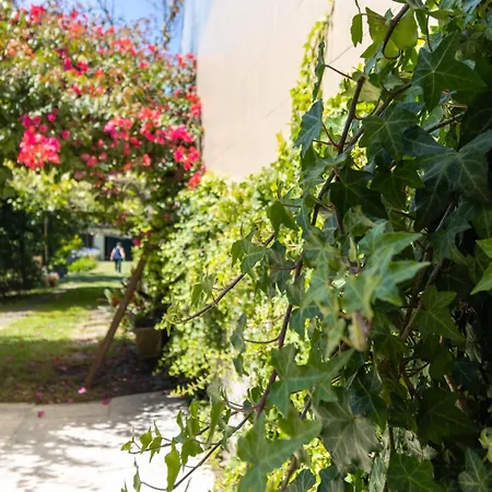 Casa Heras-estadia Com Hot Tub & Vale 1 Jantar Avintes