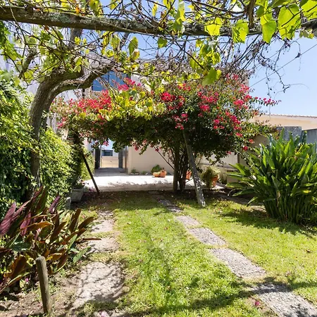 Casa Heras-estadia Com Hot Tub 別荘 Avintes