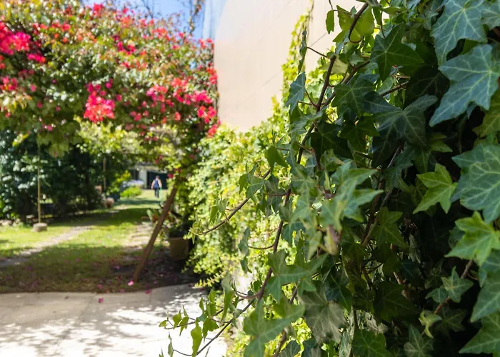 Casa Heras-estadia Com Hot Tub & Vale 1 Jantar Avintes